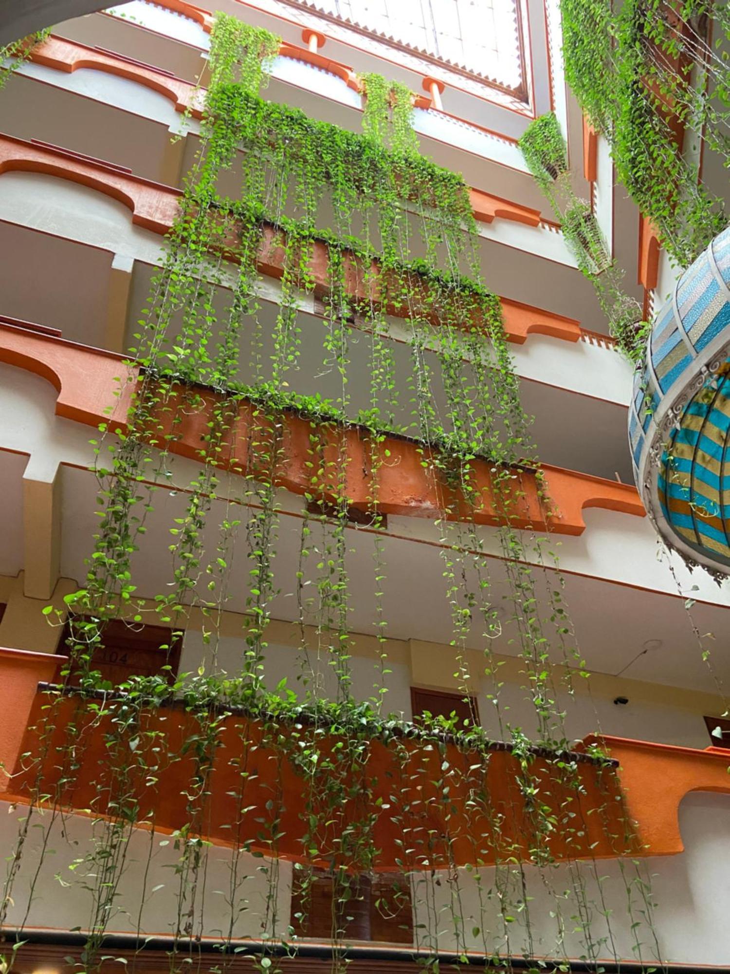 Hotel Baez Carrizal Villahermosa Exteriér fotografie