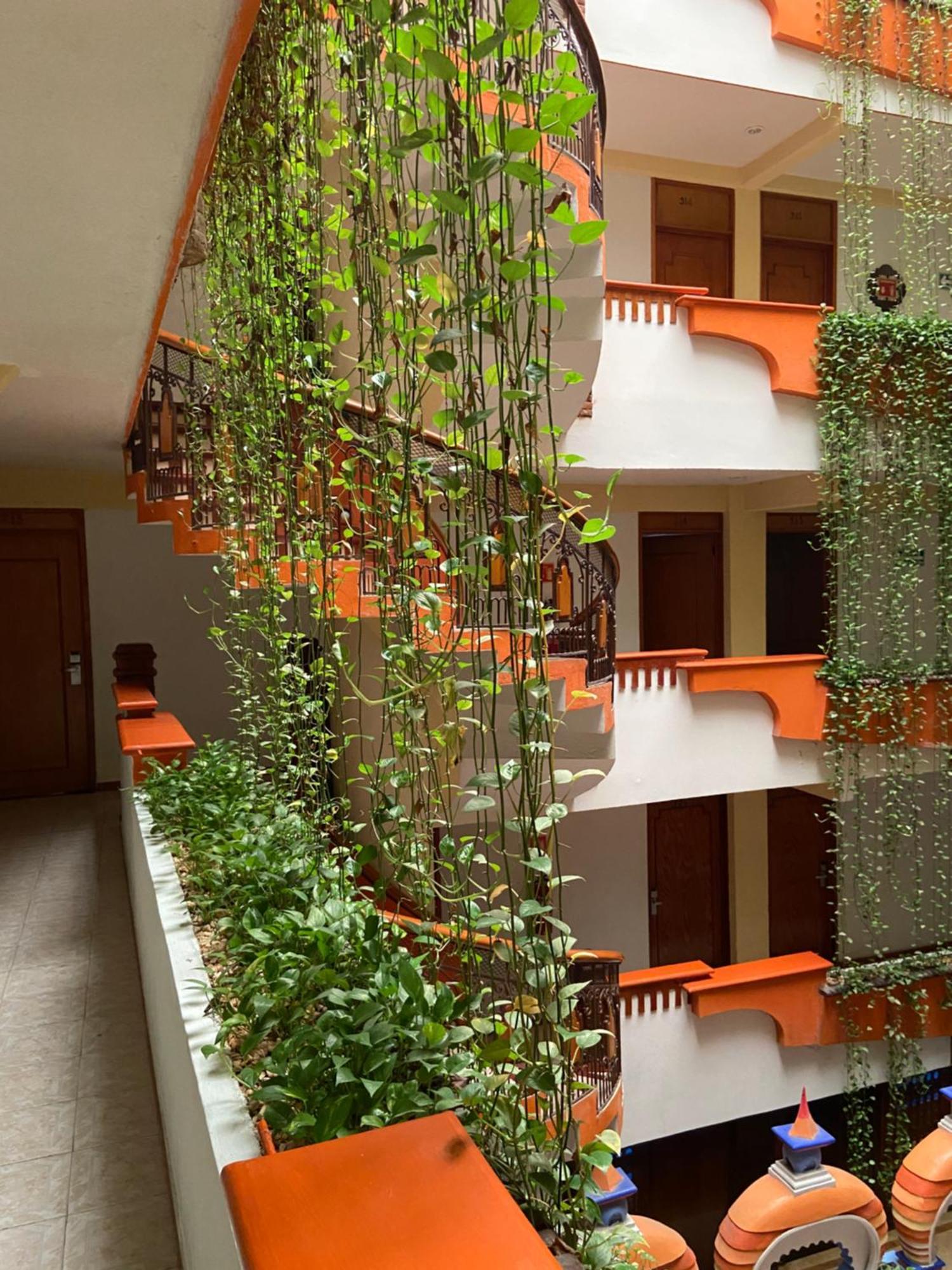 Hotel Baez Carrizal Villahermosa Exteriér fotografie